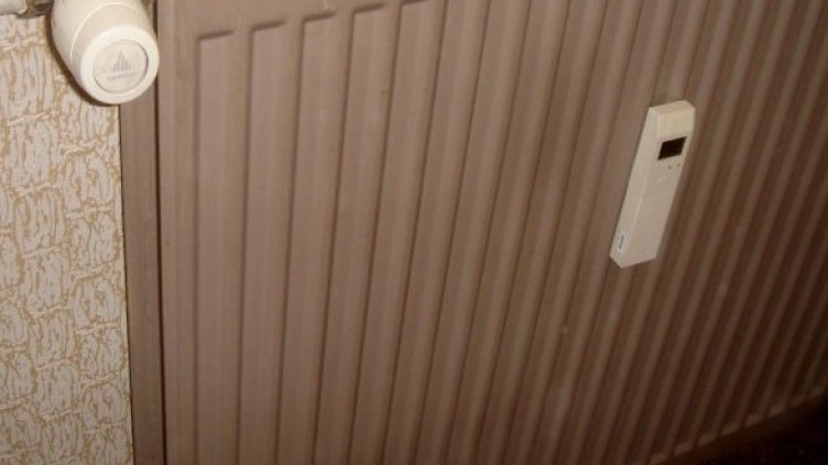 Снимка: Булфото