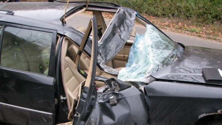 Снимка: Архив БГНЕС