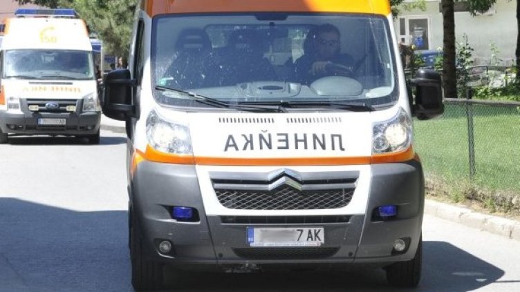 Снимка: БГНЕС