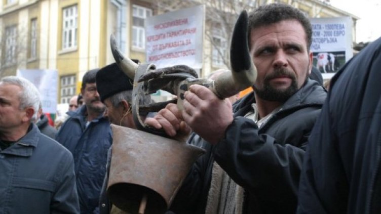 Снимка: Булфото