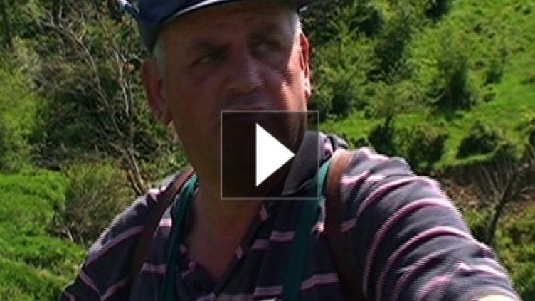 Колин Такър. Снимка: Dnes.bg