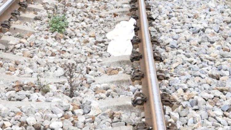 Снимка: Булфото