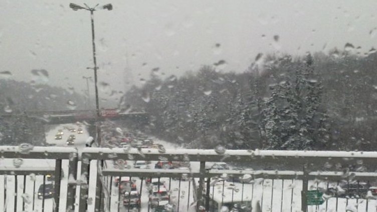 Снимка: Сергей Пеков