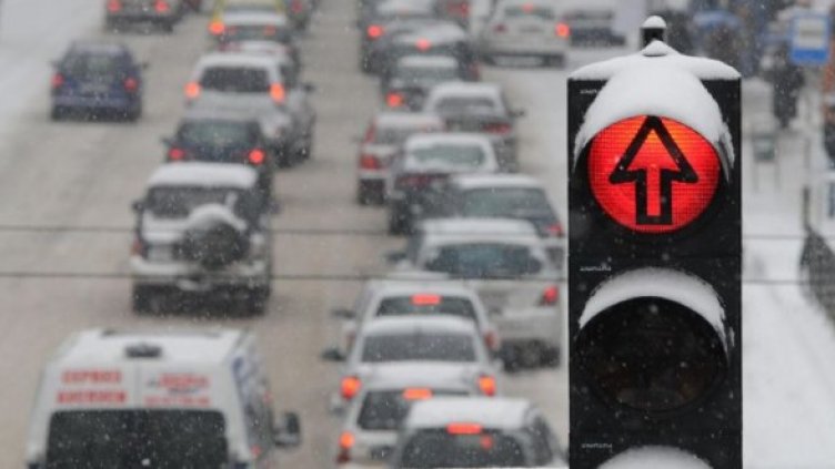 Снимка: Булфото