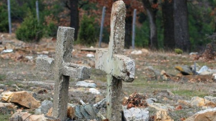 Снимка: Булфото