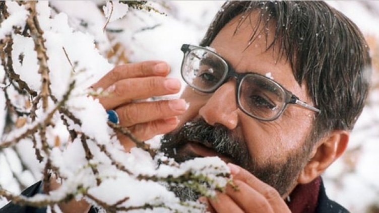 Снимка: Позор ООД