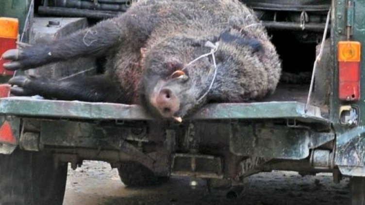 Снимка: Булфото