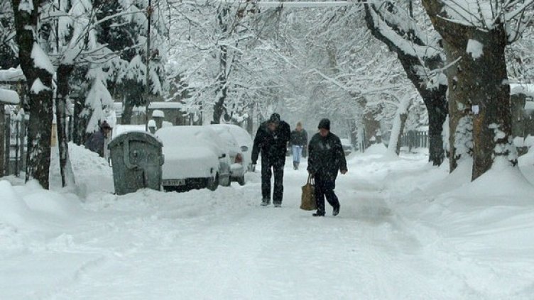 Снимка: БГНЕС