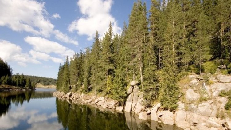 Снимка: Булфото