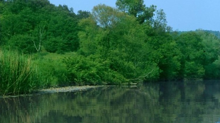 Снимка: Булфото