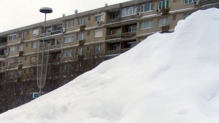 Снимка: Булфото