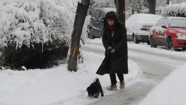 Снимка: Булфото