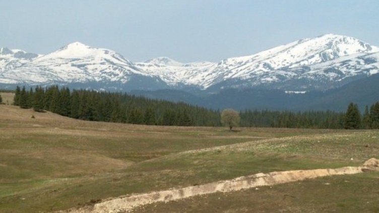 Снимка: Булфото