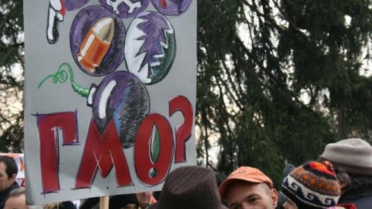 Снимка: Dnes.bg