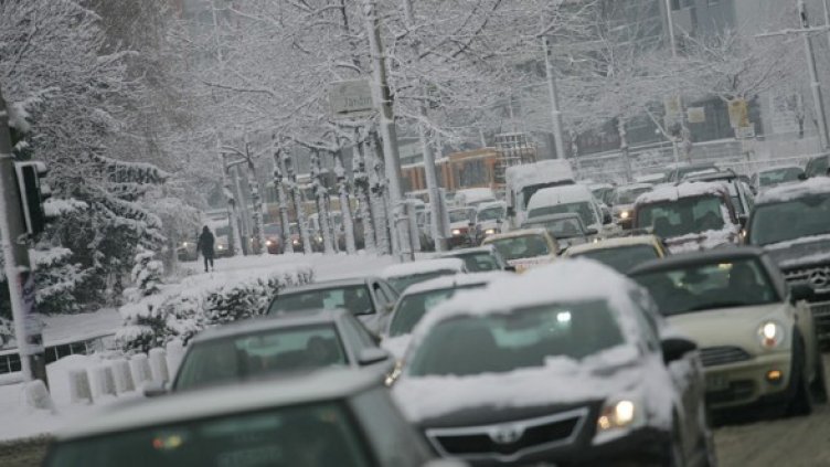 Снимка: БГНЕС