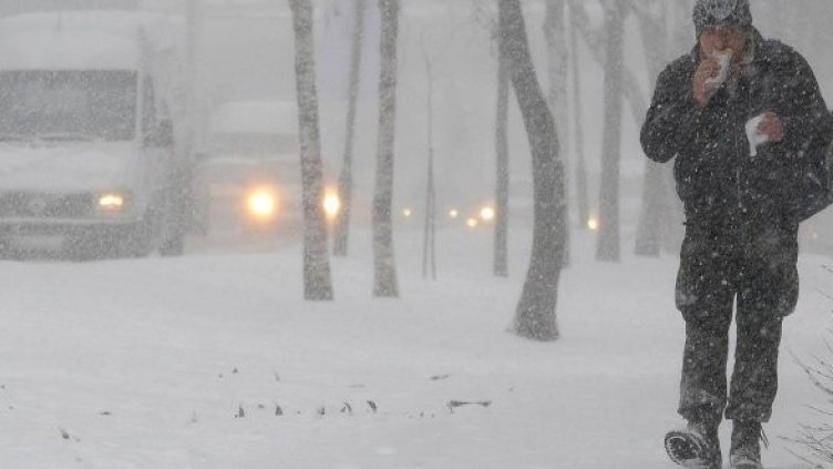 Снимка: Булфото