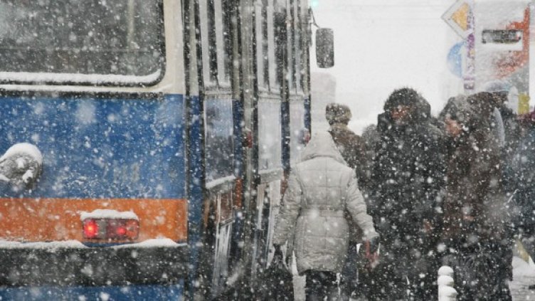 Снимка: БГНЕС