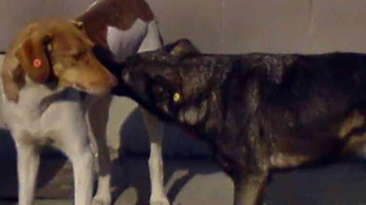 Снимка: Булфото