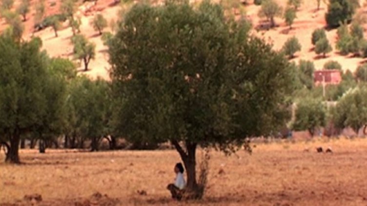 Снимка: Един свят