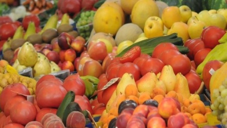 Снимка: Булфото