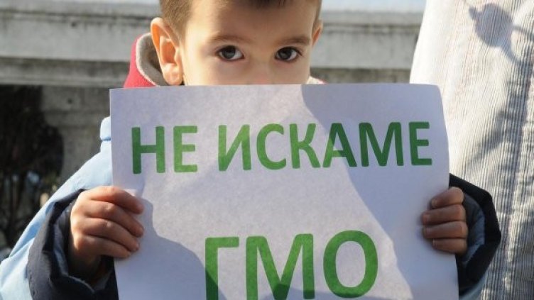 Снимка: Булфото