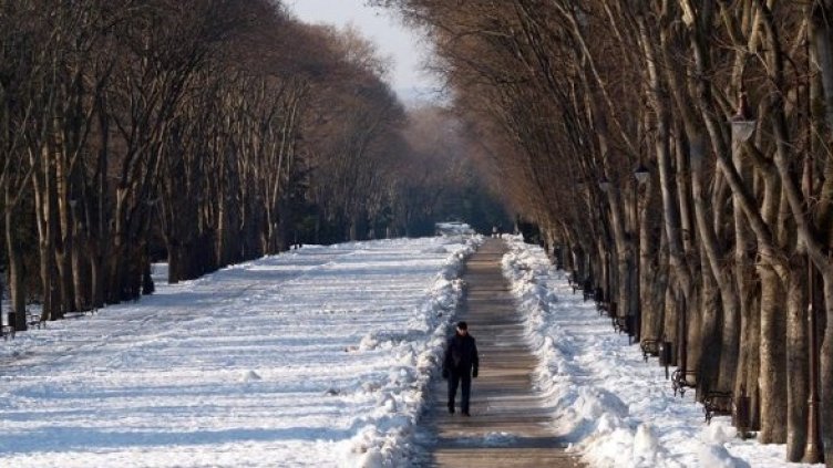 Снимка: БГНЕС