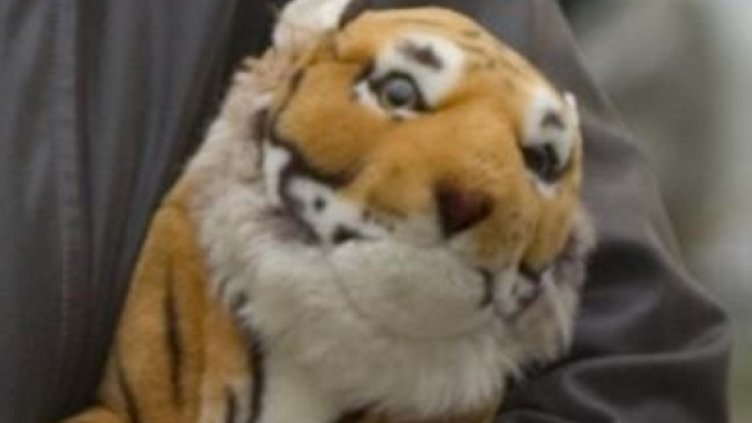 Снимка: Булфото