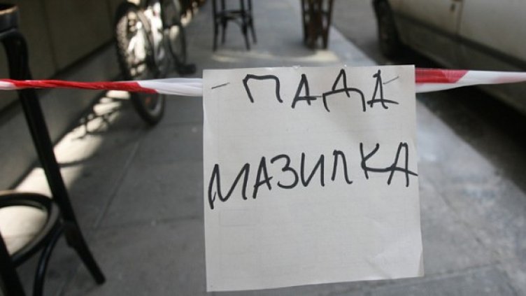 Снимка: БГНЕС