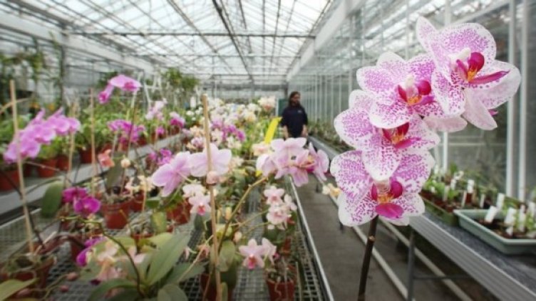 Снимка: GettyImages/Guliver Photos