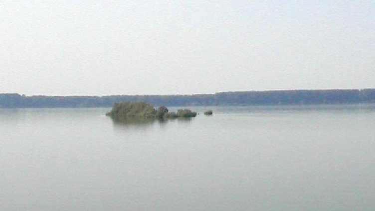 Снимка: Булфото