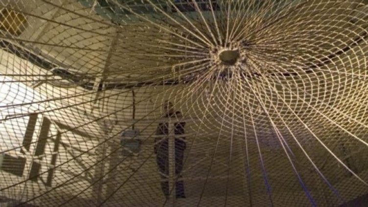 Снимка: Булфото