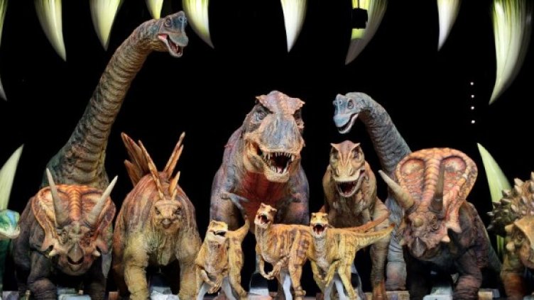 Снимка: GettyImages/Guliver Photos