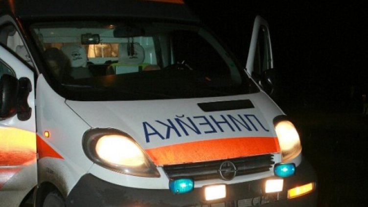 Снимка: Булфото