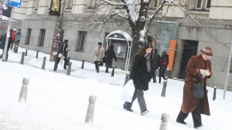 Снимка: БГНЕС