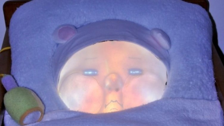 Това всъщност е Йотаро. Снимка: kansei.tsukuba.ac.jp