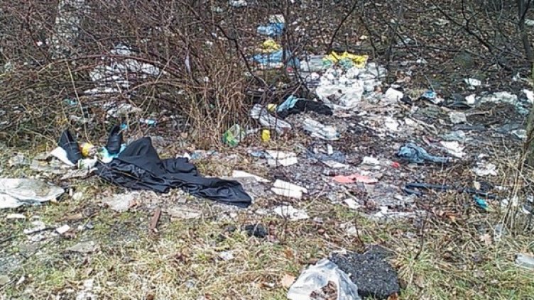 Западен парк в столицата ни. Снимка: БГНЕС