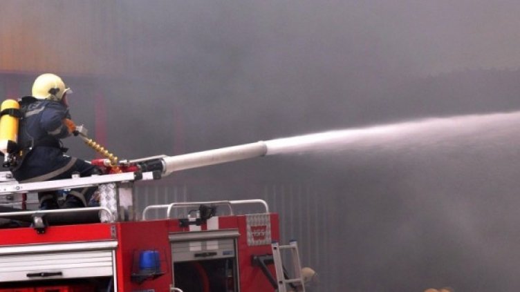 Снимка: Булфото