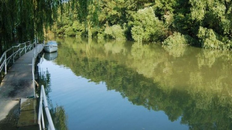 Снимка: Булфото