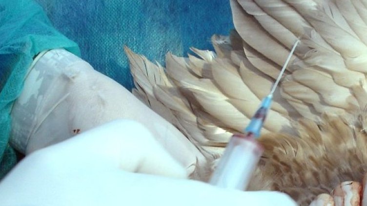 Снимка: Булфото