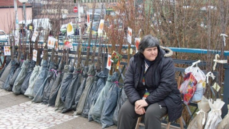 Снимка: БГНЕС