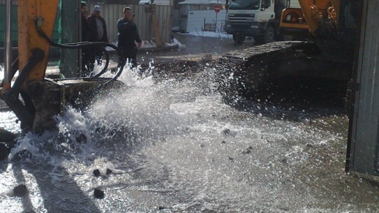 Снимка: БГНЕС