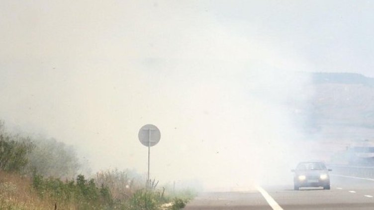 Снимка: Булфото