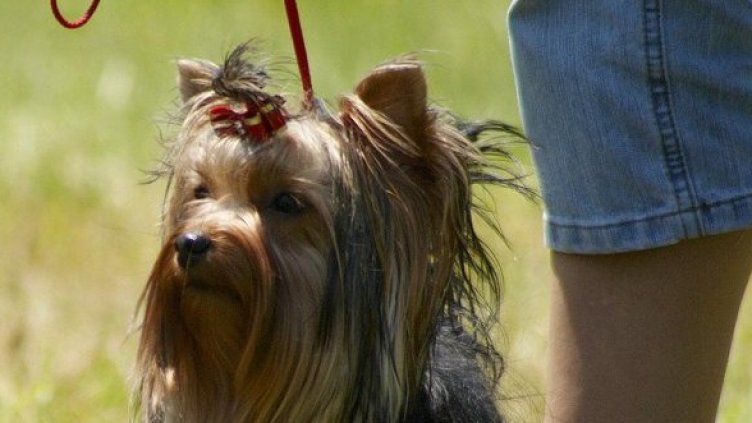 Снимка: Булфото