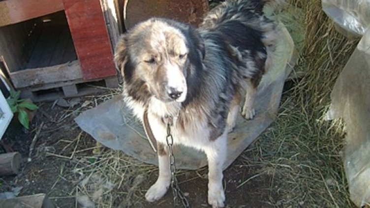 Снимка: Град за отговорни хора