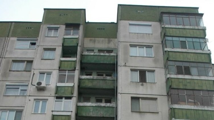 Снимка: Булфото