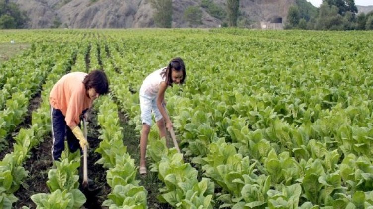 Снимка: Булфото