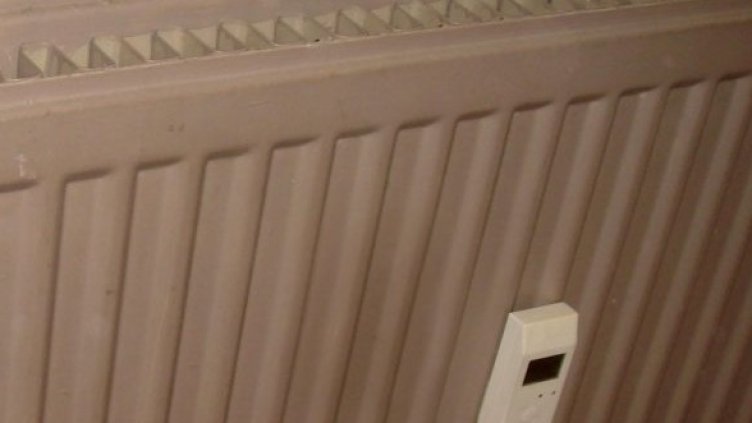 Снимка: Булфото