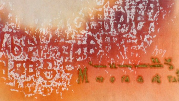 Една от творбите на Антония Дуенде