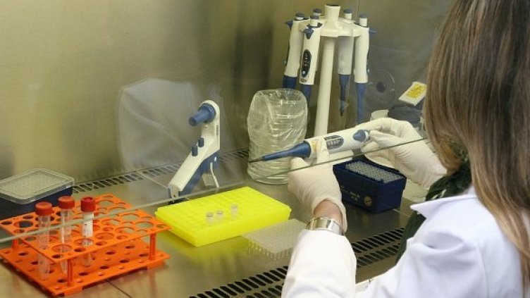 Снимка: Булфото