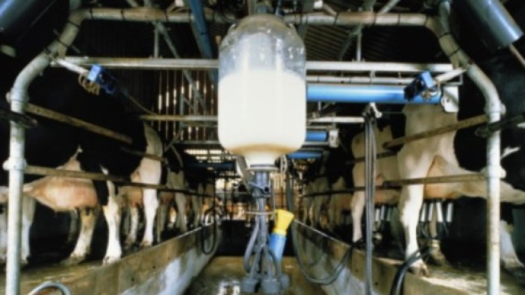 Снимка: Getty Images/Guliver Photos